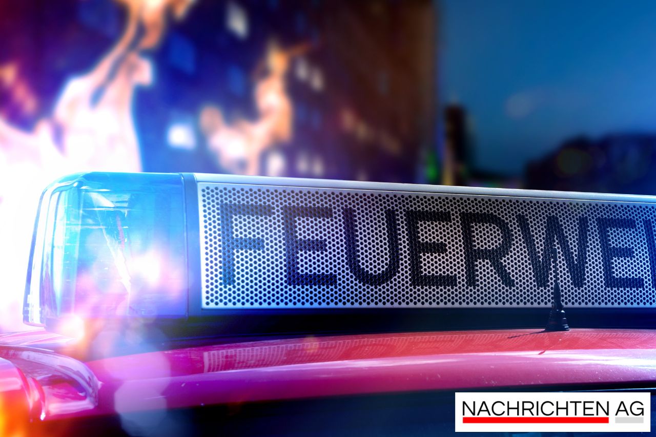 Vom Trauma zur Treue: Skys Weg in ein neues Leben